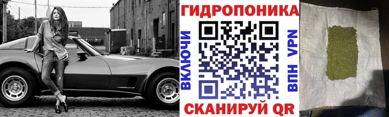 kraken маркетплейс  наркошоп  Черемхово  Бошки Шишки MAZAR 
